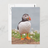 Niedlicher Stehender Puffin Postkarte (Vorne/Hinten)