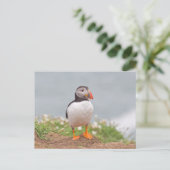Niedlicher Stehender Puffin Postkarte (Stehend Vorderseite)
