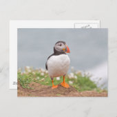 Niedlicher Stehender Puffin Postkarte (Vorne/Hinten)