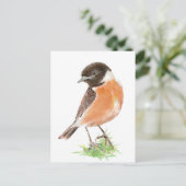 Niedlicher Stonechat, Wasserfarben-Vogelsammlung Postkarte (Stehend Vorderseite)
