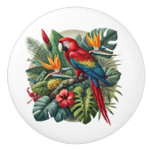 Niedlicher Strandpapagei Keramikknauf (Vorderseite)