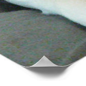 Niedlicher, stylischer White Dog mit farbenfroher Poster (Ecke)