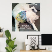 Niedlicher, stylischer White Dog mit farbenfroher Poster (Heimbüro)