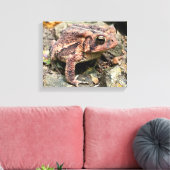 Niedlicher Südtoad Nah-up Leinwanddruck (Insitu (Wohnzimmer))