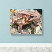 Niedlicher Südtoad Nah-up Leinwanddruck (Insitu (Holzboden))