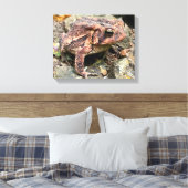 Niedlicher Südtoad Nah-up Leinwanddruck (Insitu (Schlafzimmer))