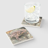 Niedlicher Südtoad Nah-up Steinuntersetzer (Seitenansicht)