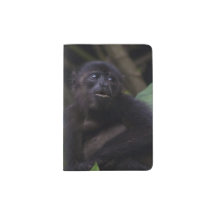 Niedlicher Summer-Affe