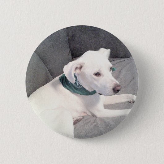 Niedlicher süßer Hund mit grünem Scarf grau Button (Vorderseite)