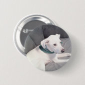 Niedlicher süßer Hund mit grünem Scarf grau Button (Vorne & Hinten)