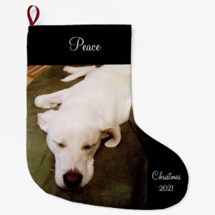 Niedlicher süßer schlafender Weißhund Grosser Weih Großer Weihnachtsstrumpf
