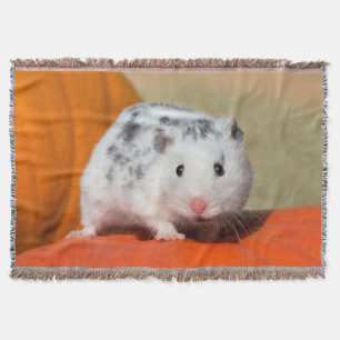 Niedlicher syrischer Hamster Weißer Schwarzer Flec Decke