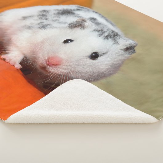 Niedlicher syrischer Hamster weißes schwarzes Sherpadecke (3/4)