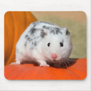 Niedlicher syrischer Hamster White Black Gepunktet Mousepad