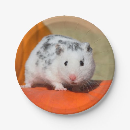 Niedlicher syrischer Hamster White Black Gepunktet Pappteller (Vorderseite)