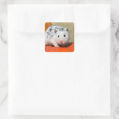Niedlicher syrischer Hamster White Black Gepunktet Quadratischer Aufkleber (Tasche)
