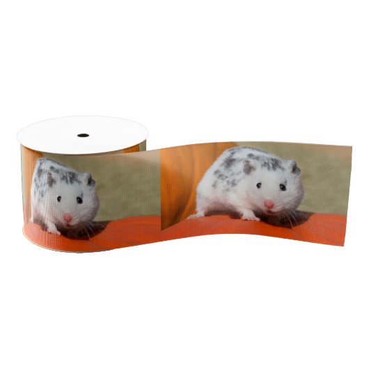 Niedlicher syrischer Hamster White Black Gepunktet Ripsband (Spule)