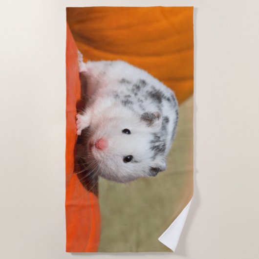 Niedlicher syrischer Hamster White Black Gepunktet Strandtuch (Vorderseite)
