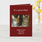 Niedlicher Tabby Cats Red Vatertag Karte (Gelbe Blume)