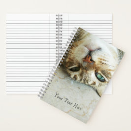 Niedlicher Tabby-Katzensprung Personalisiert Notizblock
