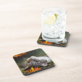 Niedlicher Tagesausflug Tabby Cat in einem Urwald Getränkeuntersetzer (Rechte Seite)