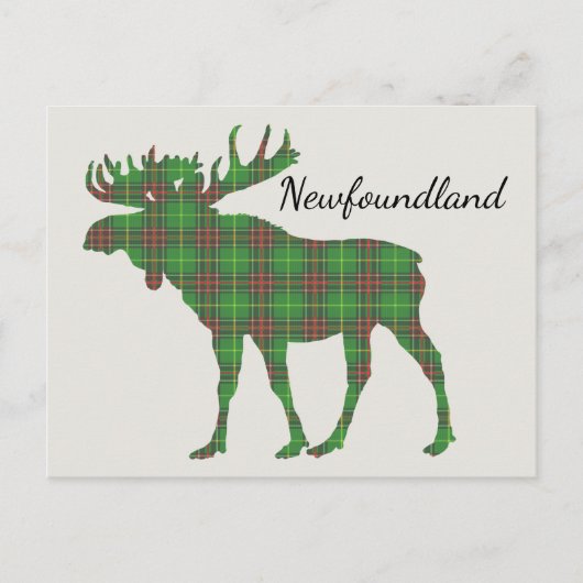 Niedlicher Tartan-Elch Neufundland Postkarte (Vorderseite)