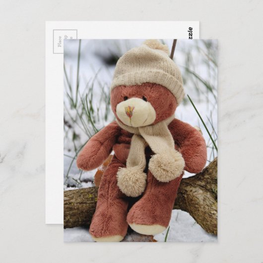 Niedlicher Teddy Bär Postkarte (Vorne/Hinten)