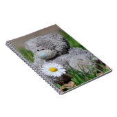 Niedlicher Teddybär mit Daisy Notizblock (Rechte Seite)