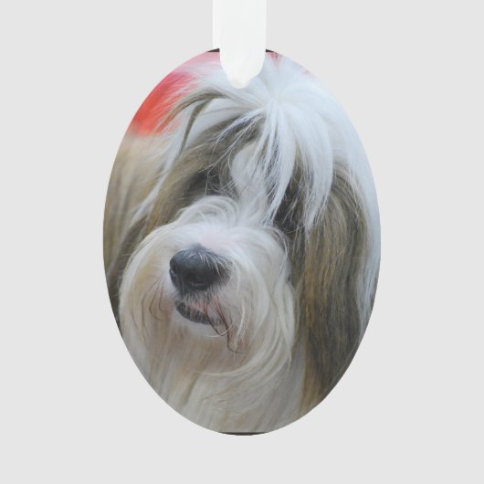 Niedlicher tibetanischer Terrier-Hund Ornament (Vorderseite)
