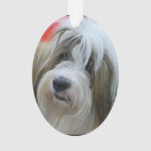 Niedlicher tibetanischer Terrier-Hund Ornament (Rückseite)