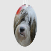 Niedlicher tibetanischer Terrier-Hund Ornament (Vorderseite)