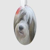 Niedlicher tibetanischer Terrier-Hund Ornament (Vorderseite)