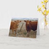 Niedlicher Tierarzt Abschluss Glückwünsche Ranch F Karte (Gelbe Blume)