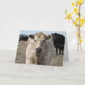 Niedlicher tierärztlicher Glückwunsch Ranch Farm D Karte (Gelbe Blume)