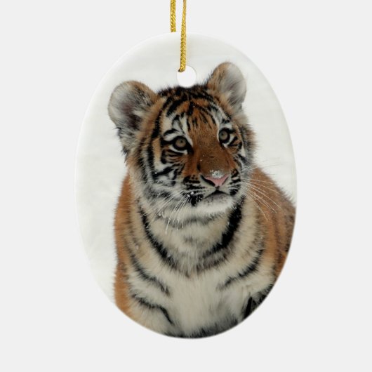 Niedlicher Tiger im Schnee Keramik Ornament (Hinten)