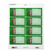 Niedlicher Tiger in der Weihnachtsmannmütze über g (Vorne)