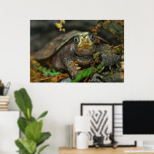 Niedlicher Tortoise Evaar, DiDi Poster (Heimbüro)