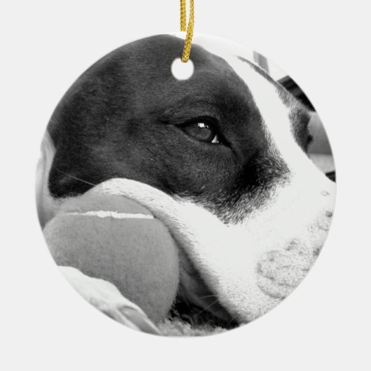 niedlicher, traurig aussehender Pitbulhund Schwarz Keramik Ornament (Vorne)