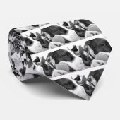 niedlicher, traurig aussehender Pitbulhund Schwarz Krawatte (Gerollt)