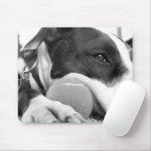 niedlicher, traurig aussehender Pitbulhund Schwarz Mousepad (Mit Mouse)