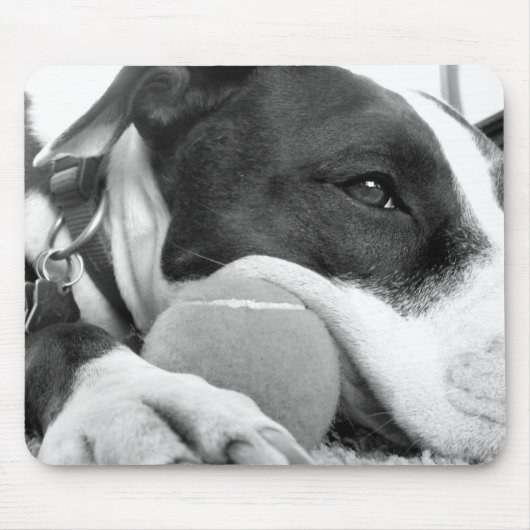 niedlicher, traurig aussehender Pitbulhund Schwarz Mousepad (Vorne)