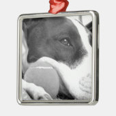 niedlicher, traurig aussehender Pitbulhund Schwarz Silbernes Ornament (Links)