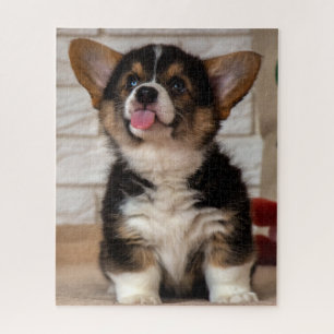 Niedlicher Tri Color Pembroke Welsh Corgi Welppy D Puzzle