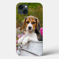 Niedlicher Tricolor Beagle Hund Welpe Pet in einer