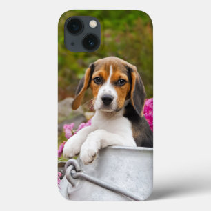 Niedlicher Tricolor Beagle Hund Welpe Pet in einer Case-Mate iPhone Hülle