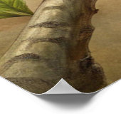 Niedlicher Türkisbird Poster (Ecke)