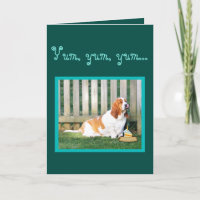 Niedlicher u. lustiger Dachshund-Jagdhund auf