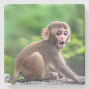 Niedlicher und Adorable-Baby-Affe Steinuntersetzer