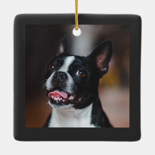 Niedlicher und Cooler Weihnachtshund mit Lichtern  Keramikornament (Rückseite)