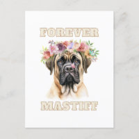 Niedlicher und lustiger englischer Mastiff Hund mi